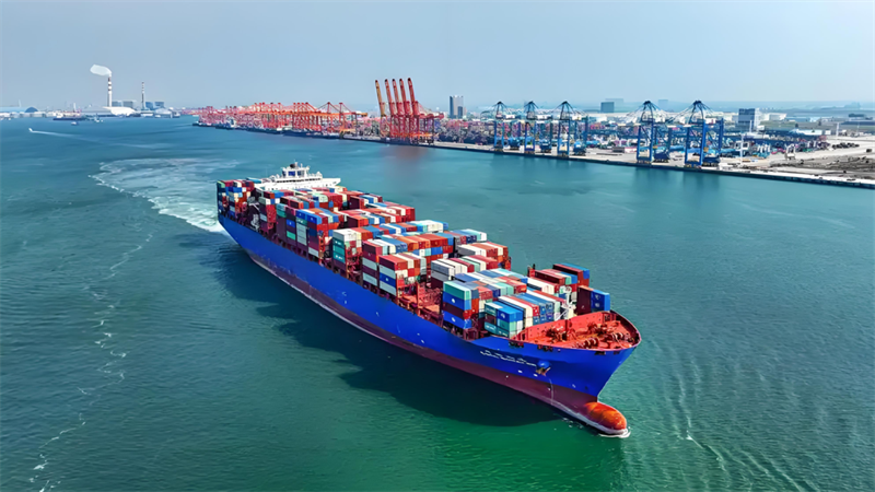 “苏大强”靠什么拼出外贸“逆风局”？｜区域观察