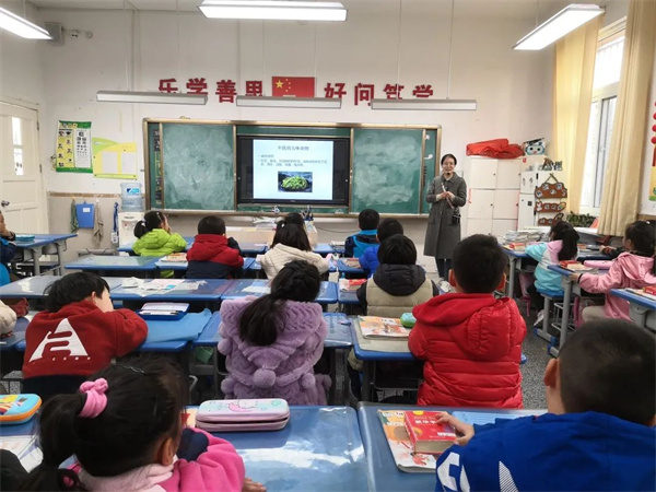 中医文化进校园，传承国粹助成长